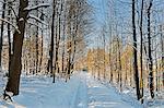 Rural winter scene, near Villingen-Schwenningen, Schwarzwald-Baar, Baden-Wurttemberg, Germany, Europe