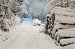 Black Forest in winter, near Villingen-Schwenningen, Schwarzwald-Baar, Baden-Wurttemberg, Germany, Europe