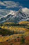 Mears Peak with snow and yellow aspens in the fall, Uncompahgre National Forest, Colorado, United States of America, North America