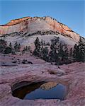 Pool in slick rock at dawn, Zion National Park, Utah, United States of America, North America