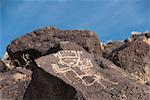 Petroglyph National Monument, New Mexico, United States of America, North America