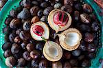 Male and female nutmegs, rind split open to reveal mace wrapped round nutmegs inside, Penang, Malaysia, Southeast Asia, Asia