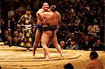 Two sumo wrestlers pushing hard to put their opponent out of the circle, sumo wrestling competition, Tokyo, Japan, Asia