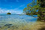 Little rock islet in the famous Rock islands, Palau, Central Pacific, Pacific