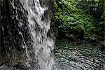 Waterfall splashing in the Emerald Pool in Dominica, West Indies, Caribbean, Central America