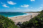 Remote white sand beach in Barbuda, Antigua and Barbuda, West Indies, Caribbean, Central America