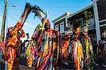 Carnival in Basseterre, St. Kitts, St. Kitts and Nevis, Leeward Islands, West Indies, Caribbean, Central America