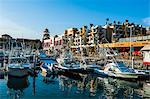 The harbour of Los Cabos, Baja California, Mexico, North America