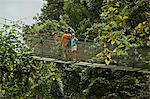 Tourists on walkway in the rainforest canopy at Arenal Hanging Bridges, La Fortuna, Alajuela Province, Costa Rica, Central America