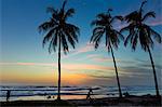 Palm trees at sunset on Playa Guiones surf beach at sunset, Nosara, Nicoya Peninsula, Guanacaste Province, Costa Rica, Central America