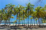 Beautiful palm fringed white sand Playa Carrillo, Carrillo, near Samara, Guanacaste Province, Nicoya Peninsula, Costa Rica, Central America