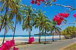 Beautiful palm fringed white sand Playa Carrillo, Carrillo, near Samara, Guanacaste Province, Nicoya Peninsula, Costa Rica, Central America