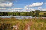 Ogston Reservoir, Derbyshire, England, United Kingdom, Europe