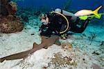 Nurse shark resting near a diver in the Turks and Caicos, West Indies, Caribbean, Central America