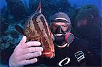 Diver with local tame grouper in Turks and Caicos, West Indies, Caribbean, Central America