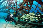 Diver inside the Thunderdome in Turks and Caicos, West Indies, Caribbean, Central America