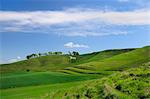 Cherhill white horse, first cut into chalk downland in 1780, Wiltshire, England, United Kingdom, Europe