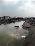 Tire floating in puddle in burnt out wasteland, Saint Denis, France