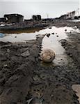 Abandoned ball in burnt out wasteland, Saint Denis, France