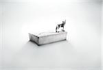 wolf figurine on ice floe in cinder block