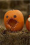 Jack-o-lanterns on Hay Bale, Ontario, Canada