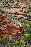 Dales Gorge, Karijini National Park, The Pilbara, Western Australia, Australia