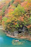 River in Dakigaeri Valley, Akita Prefecture