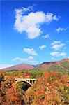 Ofukasawa bridge, Miyagi Prefecture