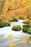 Oirase mountain stream, Aomori Prefecture