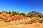 Autumn in Hakkoda, Aomori Prefecture