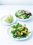 Watercress, avocado and orange salad, iceberg and Italian bitter leaf salad