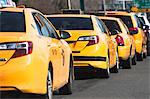 Line of yellow cabs, New York City, USA