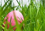 Pink easter egg hiding in grass