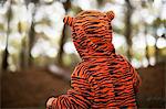 Back view of male toddler in tiger suit exploring woods