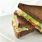 Lettuce,apple and walnut black bread sandwich