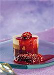 Three-colored chocolate dessert with summer fruit puree