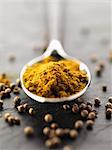 Spoonful of curry powder and coriander seeds