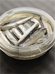 Anchovies in oil in a Tupperware container