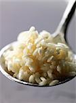 Arborio rice for risotto