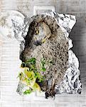 Sea bream in salt crust