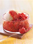 Raspberry granita,lemon sorbet and summer fruit puree