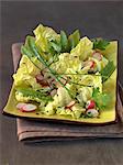 Lettuce,radish,sugar pea and chive salad