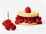 Crunchy biscuits with fresh redcurrants and raspberries