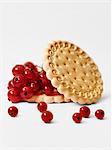Crunchy biscuits with fresh redcurrants
