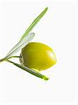 Olive and oil on an olive branch on a white background