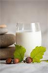 Glass of milk and hazelnuts