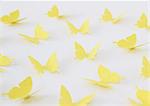 Yellow butterflies