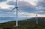 Australia, Western Australia, Albany, Torndirrup National Park.  Coastal wind farm at dawn.
