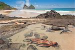 South America, Brazil, Pernambuco, Fernando de Noronha Island, women bathing in rock pools on Father's Well beach with the Morro Dois Irmaos in the distance MR