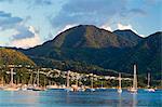 Dominica, Roseau. Boats near Castle Comfort.